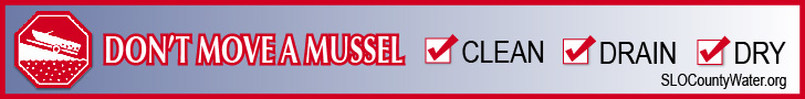 mussel-banner728x90-01