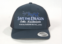 Save The Dragon Hat Front_2